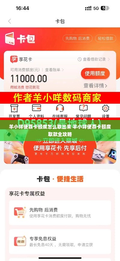 羊小咩便荔卡额度怎么取出来 羊小咩便荔卡额度取款全攻略
