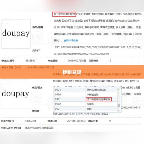 抖音月付商家兑现秒到 抖音月付商家兑现秒到，创新支付模式引领消费新趋势