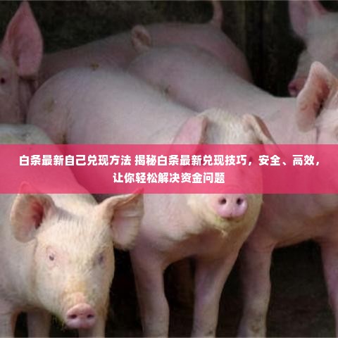 白条最新自己兑现方法 揭秘白条最新兑现技巧，安全、高效，让你轻松解决资金问题
