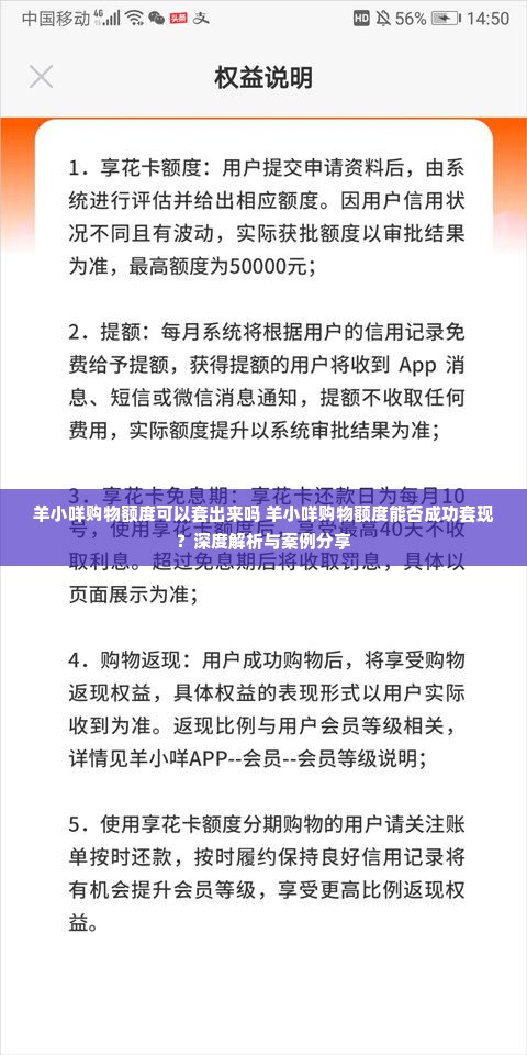 羊小咩购物额度可以套出来吗 羊小咩购物额度能否成功套现？深度解析与案例分享