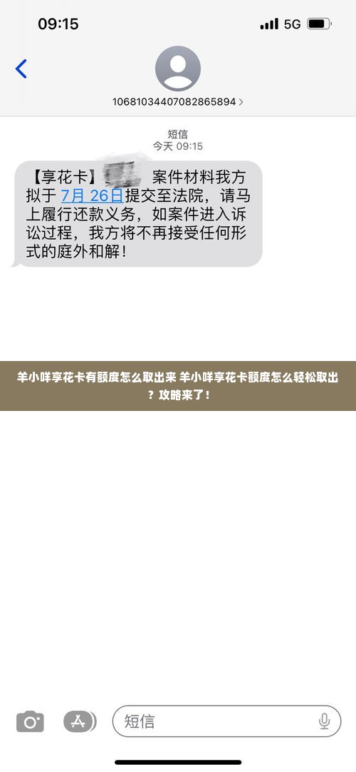 羊小咩享花卡有额度怎么取出来 羊小咩享花卡额度怎么轻松取出？攻略来了！