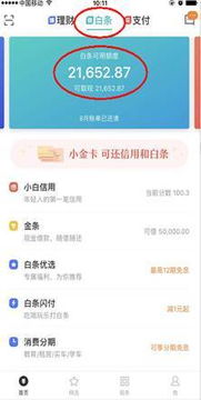 京东白条有额度怎么取出来 京东白条有额度怎么取出来