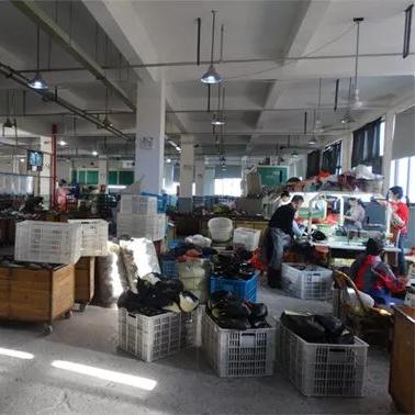 温州地区拼多多先用后付套出来多少钱 温州地区拼多多先用后付，究竟能套出多少钱？