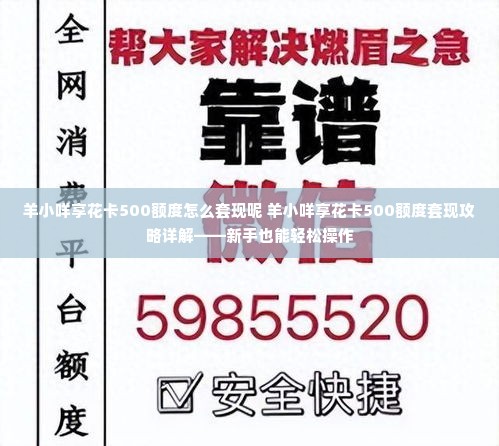 羊小咩享花卡500额度怎么套现呢 羊小咩享花卡500额度套现攻略详解——新手也能轻松操作