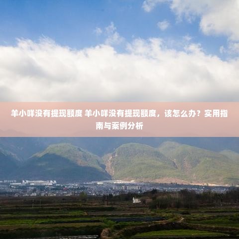 羊小咩没有提现额度 羊小咩没有提现额度，该怎么办？实用指南与案例分析