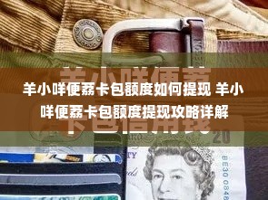 羊小咩便荔卡包额度如何提现 羊小咩便荔卡包额度提现攻略详解
