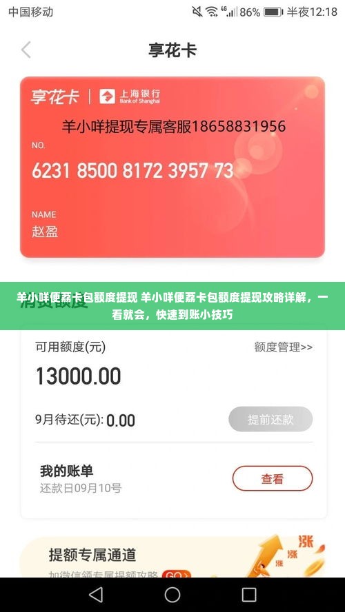 羊小咩便荔卡包额度提现 羊小咩便荔卡包额度提现攻略详解，一看就会，快速到账小技巧