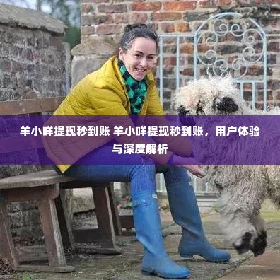 羊小咩提现秒到账 羊小咩提现秒到账，用户体验与深度解析