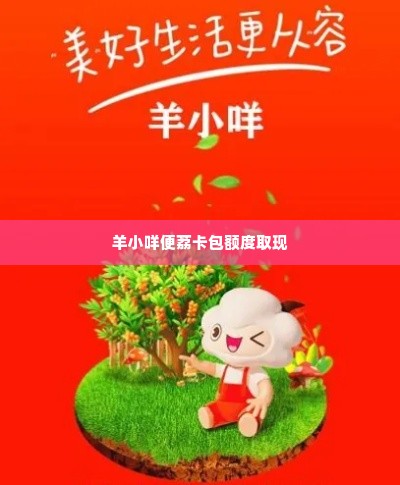 羊小咩便荔卡包额度取现 羊小咩便荔卡包额度取现指南