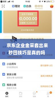 京东企业金采套出来秒回技巧是真的吗 揭秘京东企业金采套，秒回技巧真相与实操指南