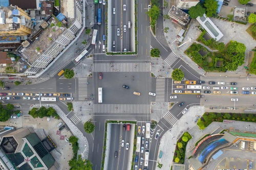 白条怎么取出来 白条怎么取出来？轻松操作指南及案例分析