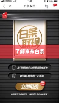 京东白条取现 京东白条取现全攻略