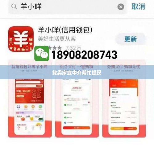 羊小咩额度取现 羊小咩额度取现攻略