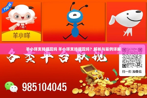 羊小咩支持提现吗 羊小咩支持提现吗？解析与案例详解