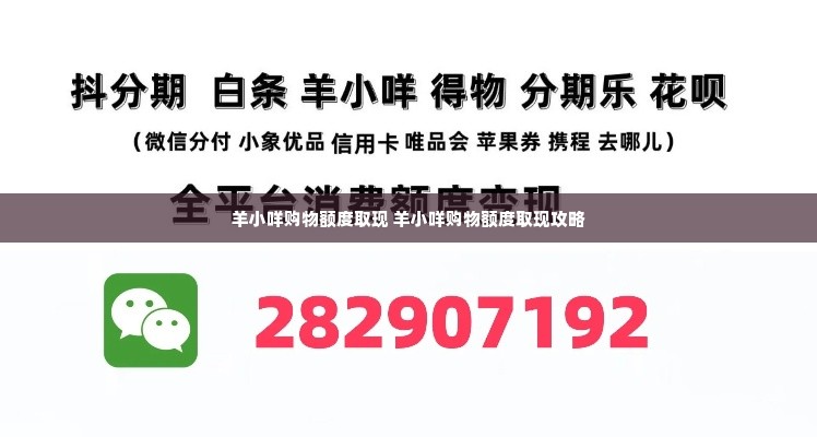 羊小咩购物额度取现 羊小咩购物额度取现攻略