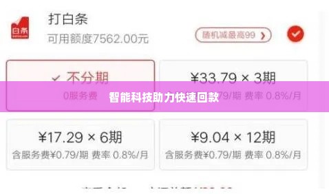 创新智能科技京东白条兑现秒到回款指南 京东白条秒到兑现指南——智能科技助力快速回款