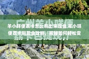 羊小咩便荔卡怎么刷出来现金 羊小咩便荔卡刷现金攻略，揭秘如何轻松变现