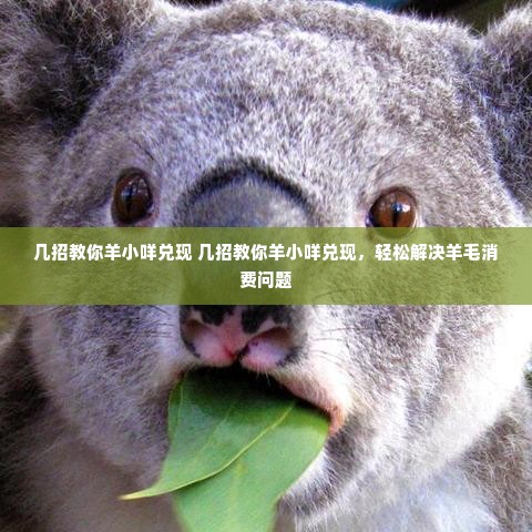 几招教你羊小咩兑现 几招教你羊小咩兑现，轻松解决羊毛消费问题