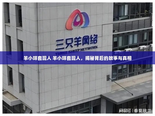 羊小咩套现人 羊小咩套现人，揭秘背后的故事与真相