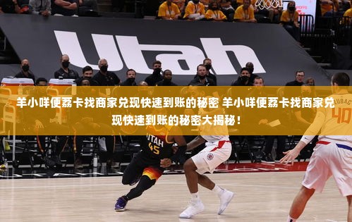 羊小咩便荔卡找商家兑现快速到账的秘密 羊小咩便荔卡找商家兑现快速到账的秘密大揭秘！