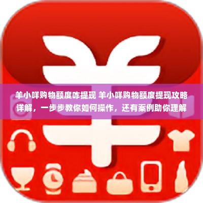 羊小咩购物额度咋提现 羊小咩购物额度提现攻略详解，一步步教你如何操作，还有案例助你理解