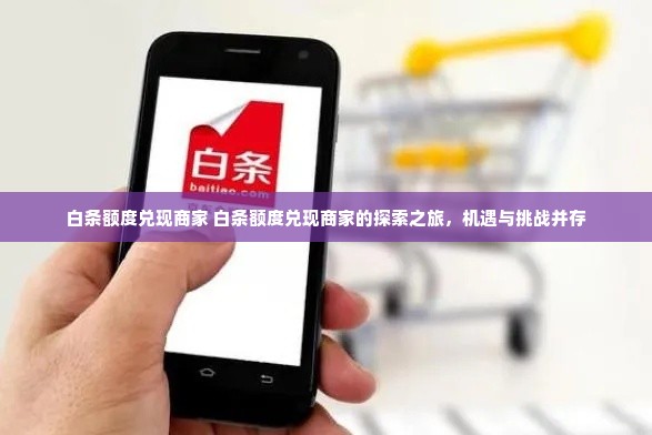 白条额度兑现商家 白条额度兑现商家的探索之旅，机遇与挑战并存