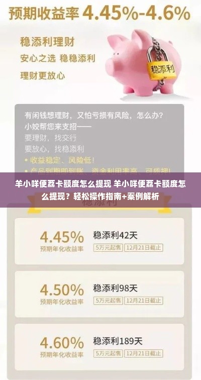 羊小咩便荔卡额度怎么提现 羊小咩便荔卡额度怎么提现？轻松操作指南+案例解析