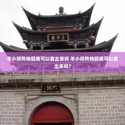 羊小咩购物额度可以套出来吗 羊小咩购物额度可以套出来吗？