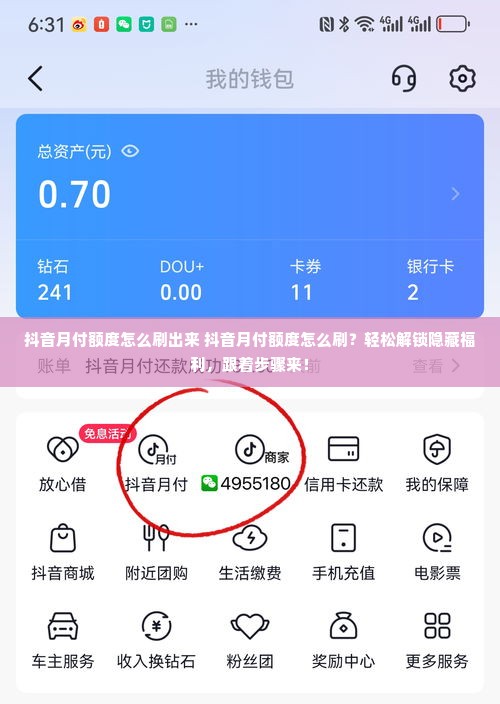 抖音月付额度怎么刷出来 抖音月付额度怎么刷？轻松解锁隐藏福利，跟着步骤来！