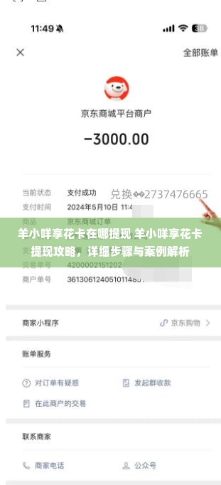 羊小咩享花卡在哪提现 羊小咩享花卡提现攻略，详细步骤与案例解析
