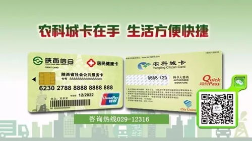 羊小咩便荔卡怎么使用兑现方法 羊小咩便荔卡轻松使用与兑现全攻略