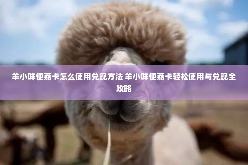 羊小咩便荔卡怎么使用兑现方法 羊小咩便荔卡轻松使用与兑现全攻略