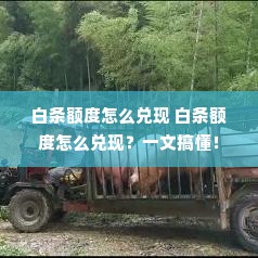 白条额度怎么兑现 白条额度怎么兑现？一文搞懂！