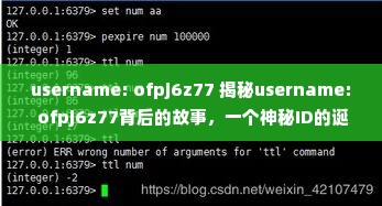 username: ofpj6z77 揭秘username: ofpj6z77背后的故事，一个神秘ID的诞生与成长
