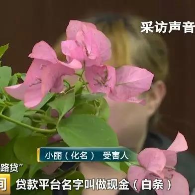 京东白条商家兑现秒到 京东白条商家兑现秒到，轻松解决资金周转难题！