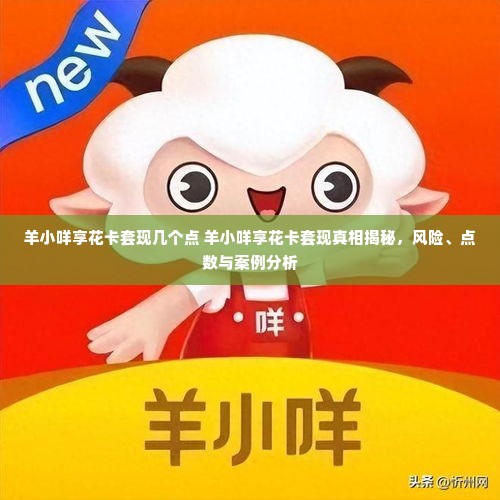 羊小咩享花卡套现几个点 羊小咩享花卡套现真相揭秘，风险、点数与案例分析