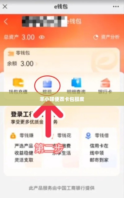 羊小咩便荔卡包额度怎么套 羊小咩便荔卡额度套现攻略