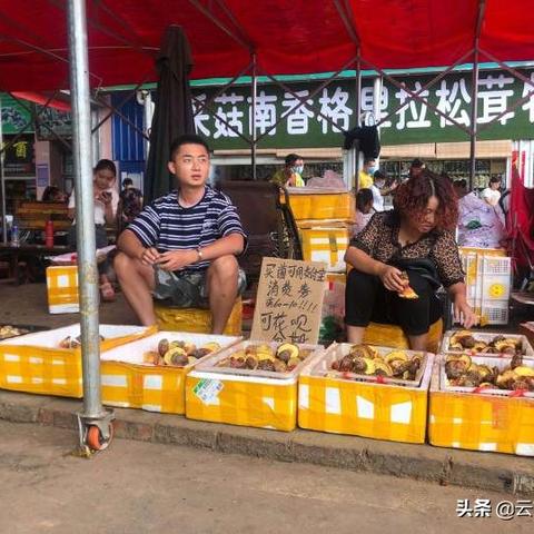 花呗额度买支付宝消费券怎么变现 花呗额度巧妙变现攻略，用花呗额度买支付宝消费券，轻松赚钱！