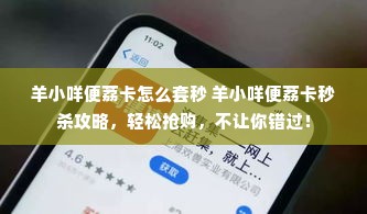 羊小咩便荔卡怎么套秒 羊小咩便荔卡秒杀攻略，轻松抢购，不让你错过！