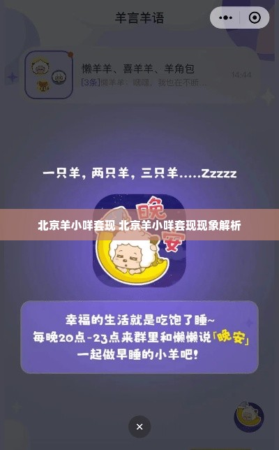 北京羊小咩套现 北京羊小咩套现现象解析