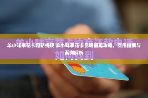 羊小咩享花卡昆明提现 羊小咩享花卡昆明提现攻略，实用指南与案例解析