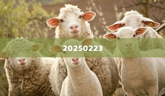羊小咩便荔卡找商家兑现全攻略与新教程 羊小咩便荔卡全攻略与新教程