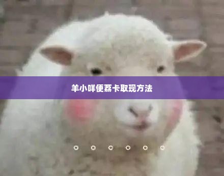 羊小咩便荔卡取现方法教程 羊小咩便荔卡取现方法教程