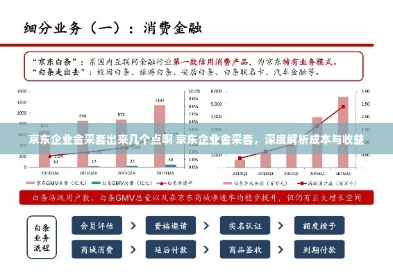 京东企业金采套出来几个点啊 京东企业金采套，深度解析成本与收益
