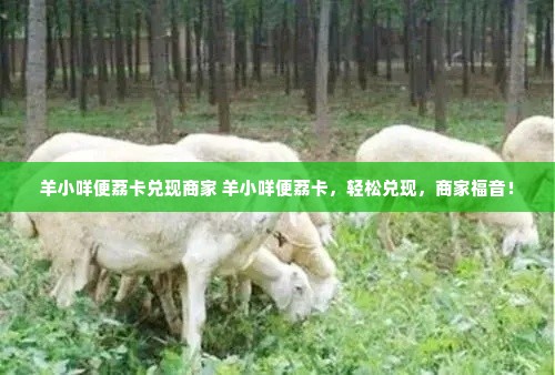 羊小咩便荔卡兑现商家 羊小咩便荔卡，轻松兑现，商家福音！