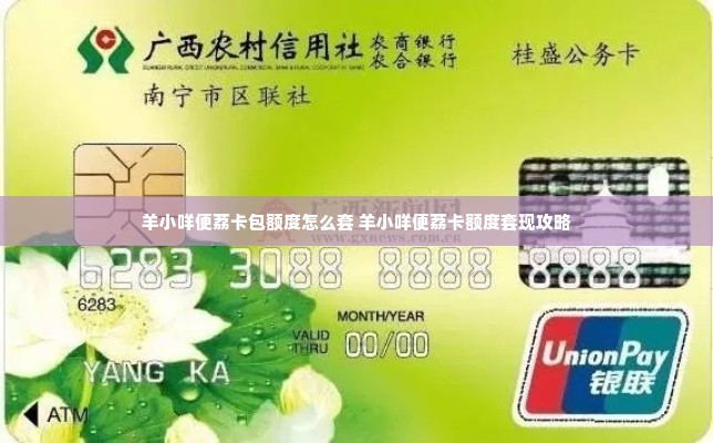 羊小咩便荔卡包额度怎么套 羊小咩便荔卡额度套现攻略