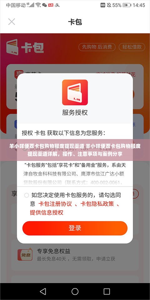 羊小咩便荔卡包购物额度提现渠道 羊小咩便荔卡包购物额度提现渠道详解，操作、注意事项与案例分享