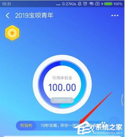 花呗怎么套秒 揭秘花呗套秒技巧，轻松玩转消费新玩法！