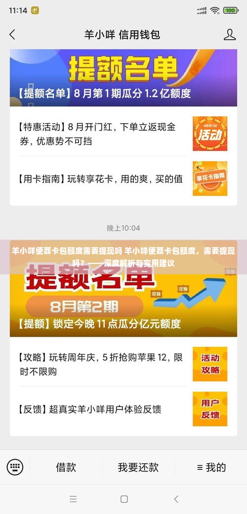 羊小咩便荔卡包额度需要提现吗 羊小咩便荔卡包额度，需要提现吗？——深度解析与实用建议