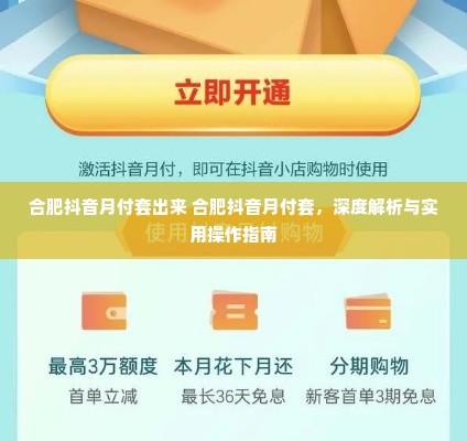 合肥抖音月付套出来 合肥抖音月付套，深度解析与实用操作指南